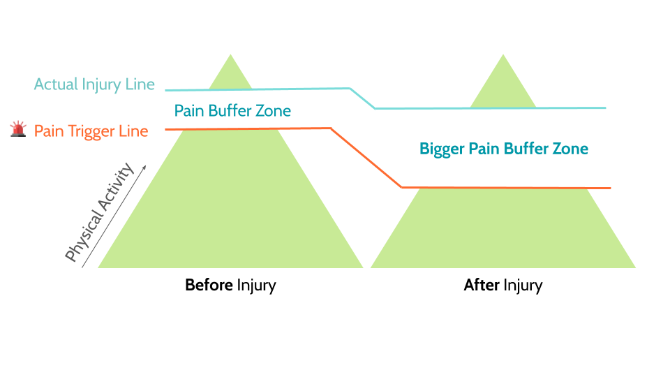 Graph showing pain buffer zones before and after injury, with actual injury and pain trigger lines illustrated in turquoise and orange. The buffer zone after an injury is wider than before injury.